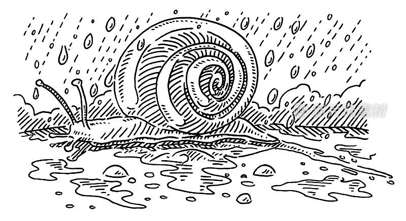 Rainy Weather Snail Animal Drawing